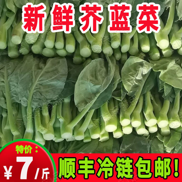 新鲜芥兰菜现摘5斤广东时令蔬菜芥蓝菜鸡腿芥蓝绿叶甘蓝现摘现发