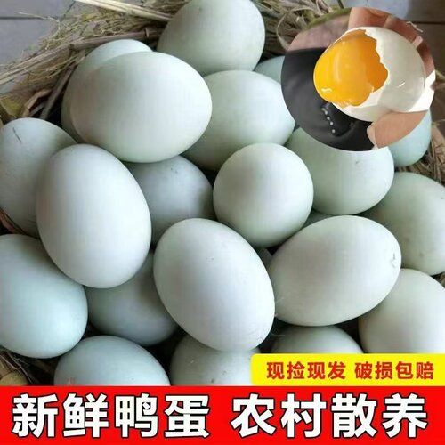 散养鸭蛋50-60g破损赔现捡现发