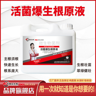 活菌根多多爆生根原液猛生根壮苗剂生主根生侧根生毛细根水溶肥料