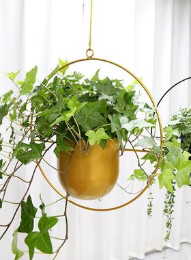 跨境热卖金属花盆悬挂铁艺吊篮阳台护栏绿植多肉种植吊盆花篮花架