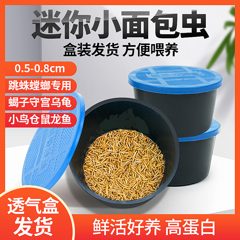 速发开口虫0.厘5米1厘米黄粉饲面包虫小虫子守宫蝎子鸟虫料