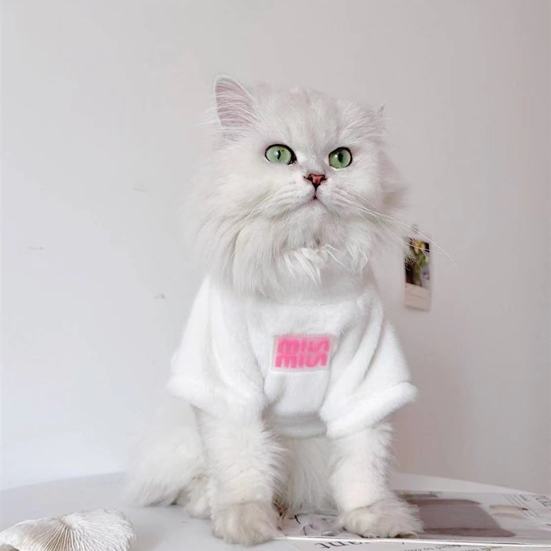 现货速发韩系~软糯绒雪纳瑞博美比熊猫咪秋冬衣服保暖打底衫