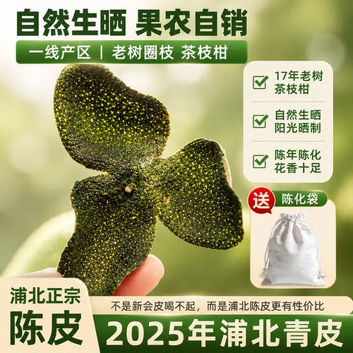 2025年新青皮正宗广西浦北陈皮