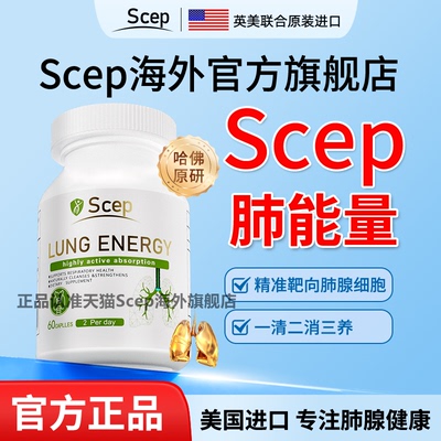 Scep肺能量圣希普胶囊槲皮素猫爪草高含量夏枯草甲状养润肺肺动力