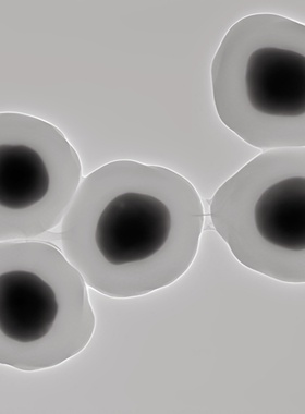 二氧化硅包金纳米颗粒 Au@SiO2 定制产品 纳米金 开发票 顺丰包邮