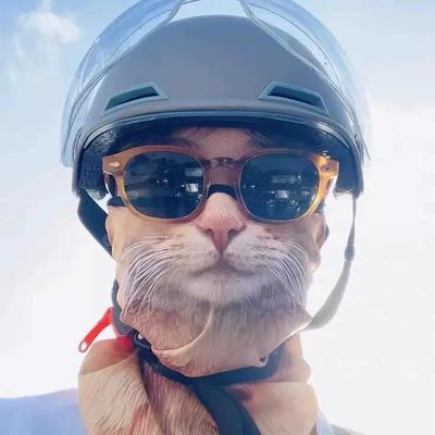 小猫公路车骑行面罩防晒男女款情侣冰丝摩托车自行车夏季个性搞笑