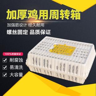 鸡鸡框成鸡运输笼鸡用周转箱运输鸡笼塑料鸡运输笼箱鸭鹅运输笼 装