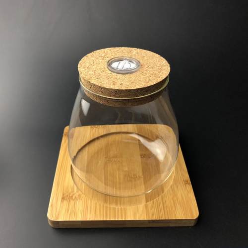 苔藓制作容器DIY玻璃瓶微景观生态瓶小号水滴花瓶木塞植物