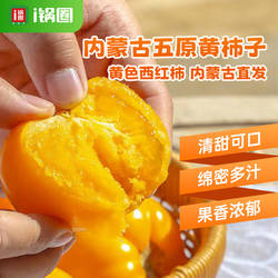 锅圈食汇内蒙古五原黄柿子新鲜现摘自然熟黄色西红柿水果番茄生吃