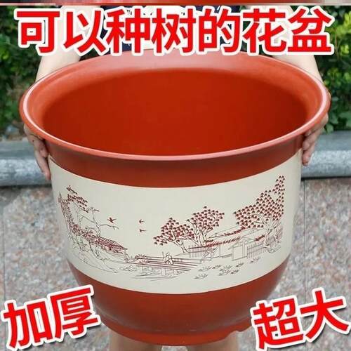 适合种三角梅的花盆特大号紫砂花盆高花盆高筒仿陶瓷花盆特价处理