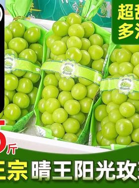 【顺丰发货】正宗阳光玫瑰葡萄新鲜应季孕妇水果现摘精品晴王青提