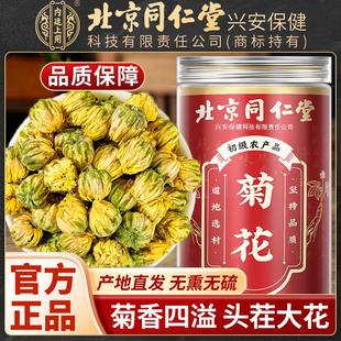北京同仁堂内廷上用黄菊花中药材菊花茶正品官方菊花干上火泡水喝