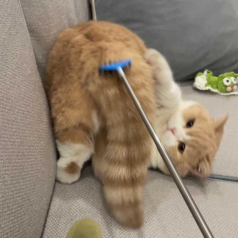 猫咪挠痒痒神器撸猫逗猫棒玩具猫咪解闷按摩抓痒可伸缩梳子梳毛刷