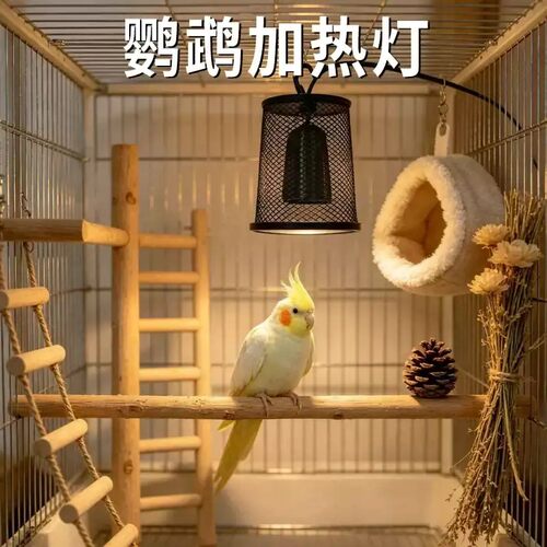 鹦鹉加热灯冬季专用保暖鸟笼防烫可控温陶瓷取暖过冬神器保温用品