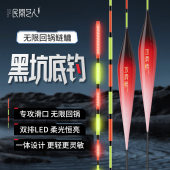 民间艺人LED攻滑鲢一体黑坑鲢鳙夜光漂行程大物日夜两用电子鱼漂