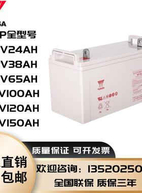 汤浅YUASA免维护蓄电池NP12v38/65/100/200AH机房直流屏UPS专用