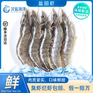50只 汉盐海泽盐田虾2.5斤40 斤肉质紧实鲜甜顺丰 天津特产