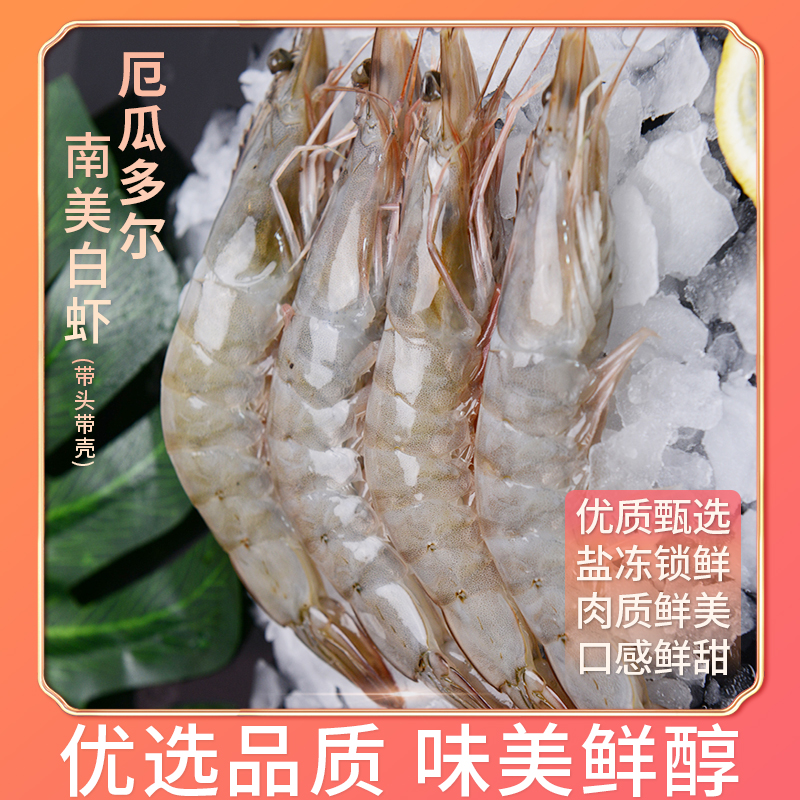 汉盐海泽厄瓜多尔南美白对虾