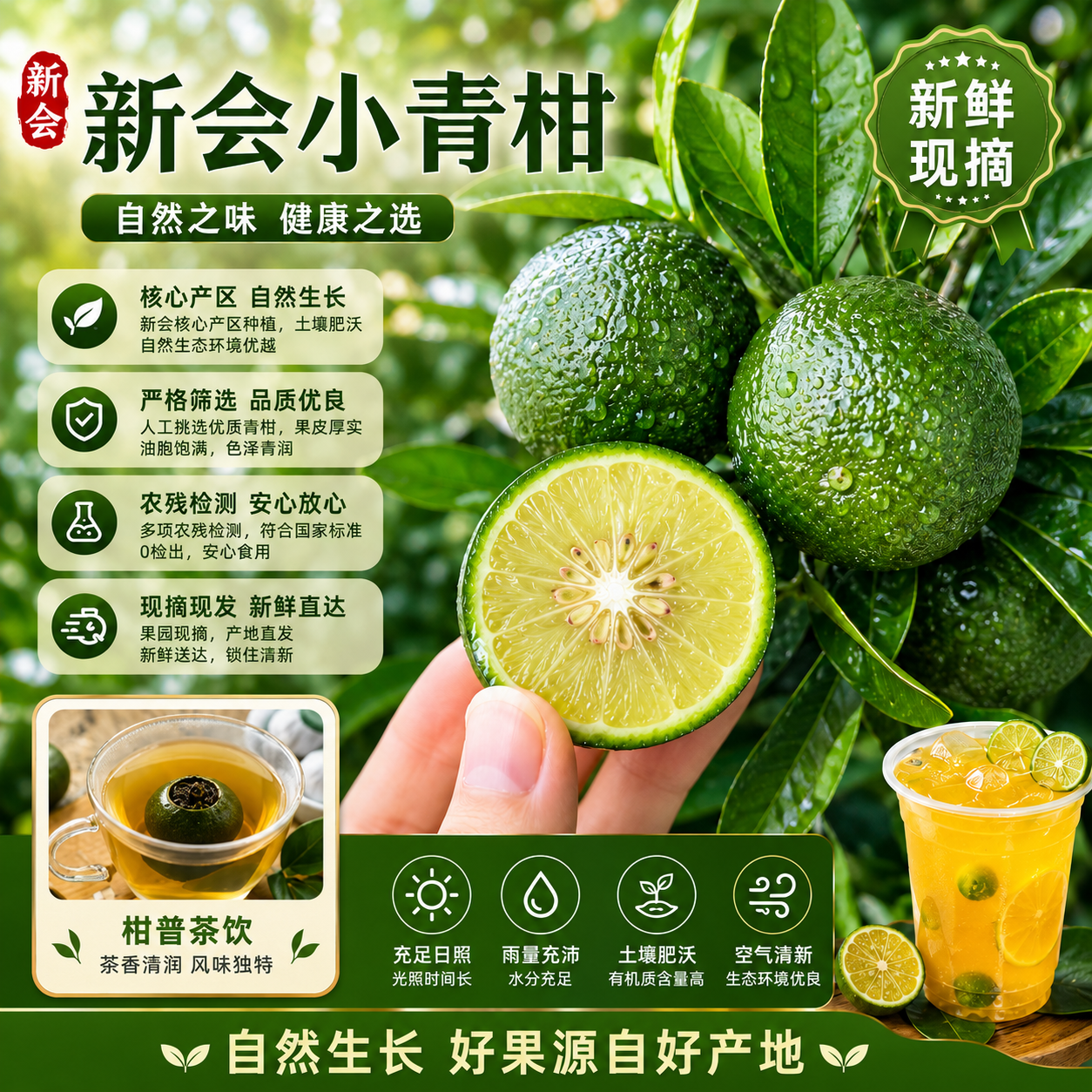 广东新会小青柑鲜果现摘茶饮原料