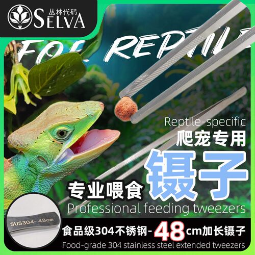丛林代码304不锈钢镊子