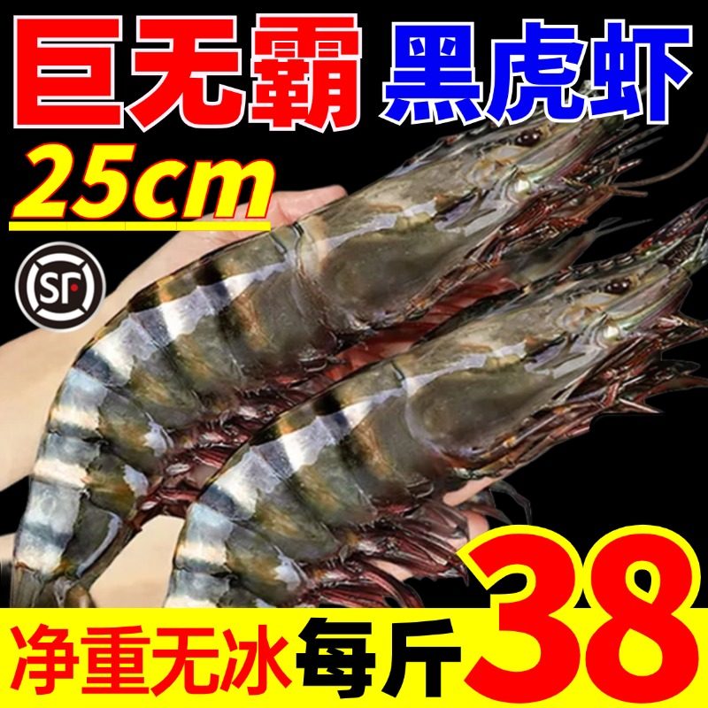 黑虎虾鲜活超大虾鲜活冷冻九节虾海鲜水产深海捕捞特大新鲜老虎虾