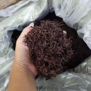 【钓鱼去】蚯蚓干地龙圆条户外黄鳝饵料乌龟饲料臭青鱼饵垂钓干货