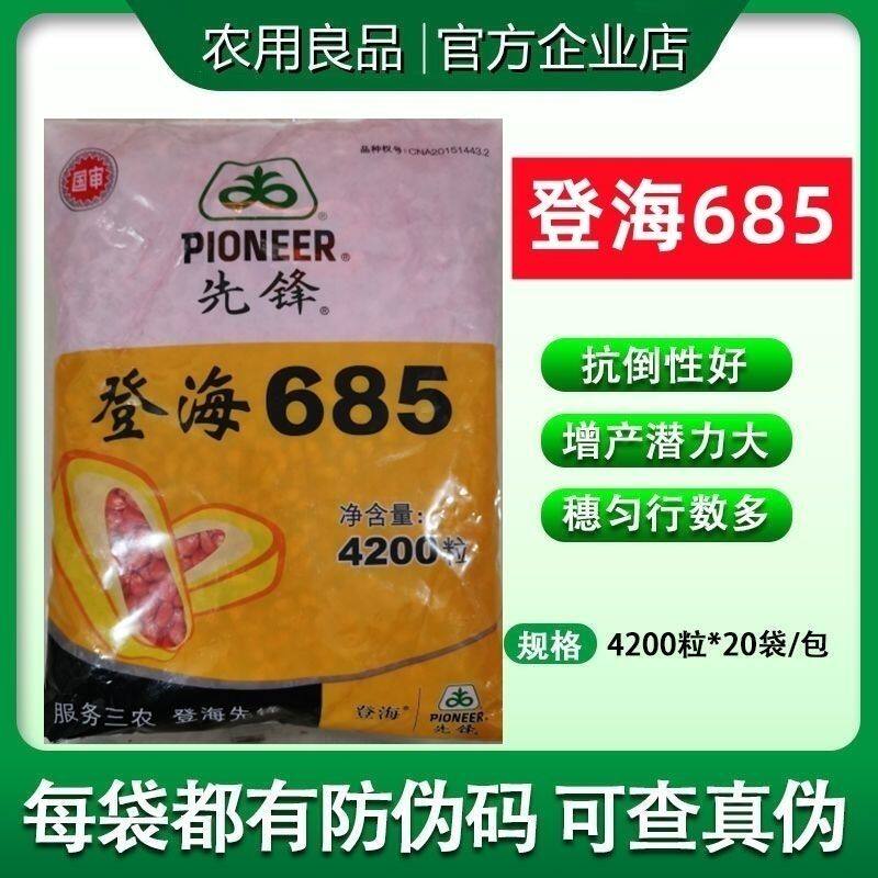 登海685高产杂交玉米种子特大棒细轴粒深抗病抗倒包谷种籽春夏播