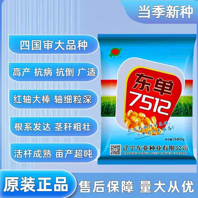 东单7512高产杂交玉米种子早熟
