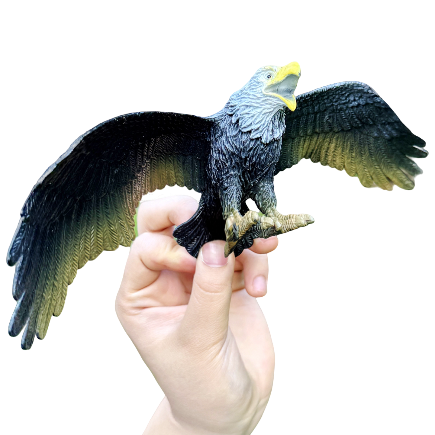 仿真老鹰猛禽农田阳台吓鸟类驱鸟幼儿园儿童过家家玩具动物模型