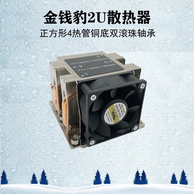 金钱豹侧吹3647针4热管