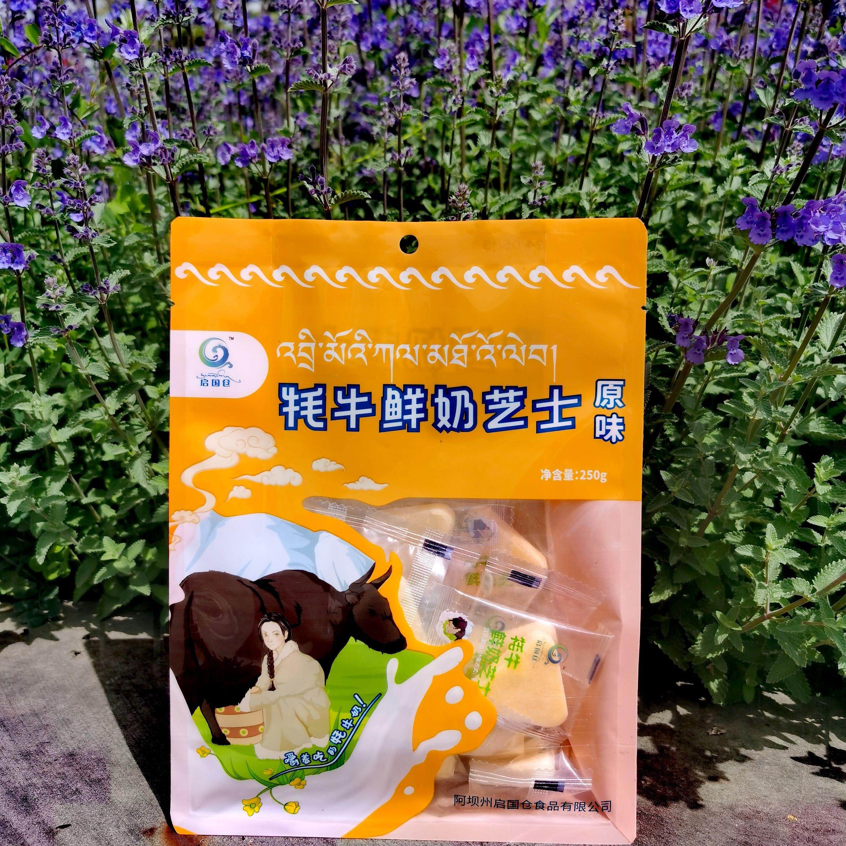 九寨沟特产启国仓牦牛鲜奶三角芝士奶酪益生菌奶条奶片儿童零食