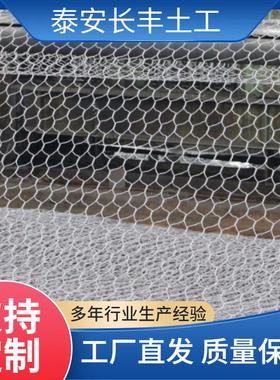 锌铝合金石笼网滨固PEZ 河道防讯固笼筋堤土工加网垫