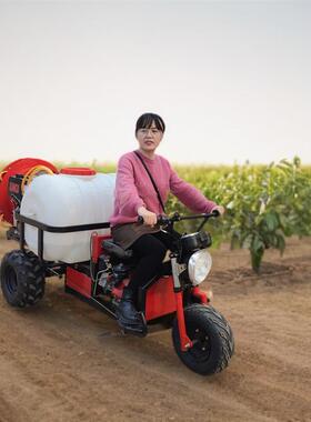 坐城79市绿化果园式风送高压轮打药机 三葡萄园药桃园打机
