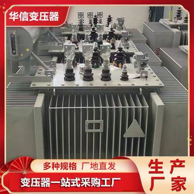 电压力变器厂S13-800kva/1压0kv油浸式变器工厂用TXY多组电压合