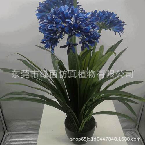 仿真大球兰盆景电绿脚植马骝解家居狗舌藤铁LV111板摆件商东莞绿
