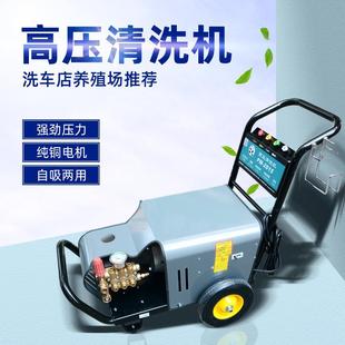 熊猫P1M 20洗15QSWPM255PM3015洗高压清机商用工业清机除锈剥树皮