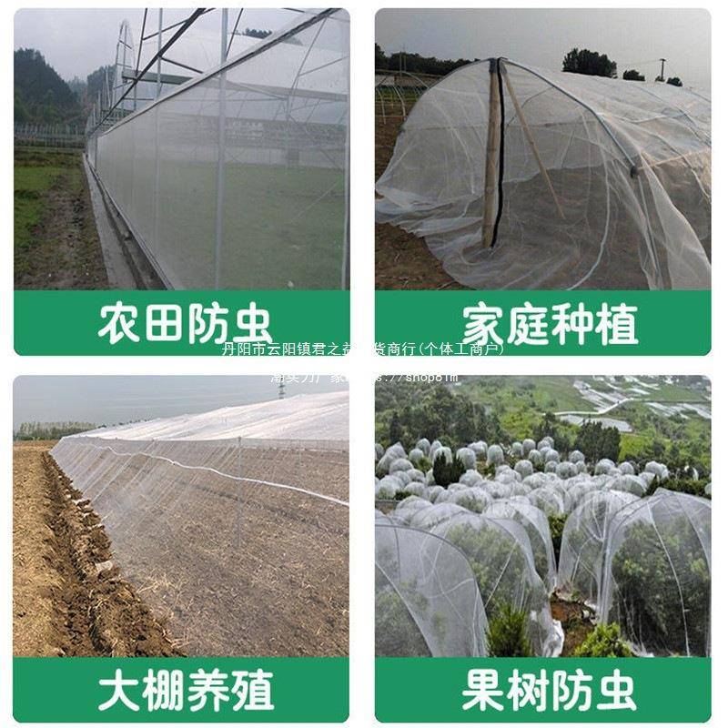 防虫网纱网养棚蚊殖养果猪场防子苍蝇果蝇农用大NVB树网加厚纱窗