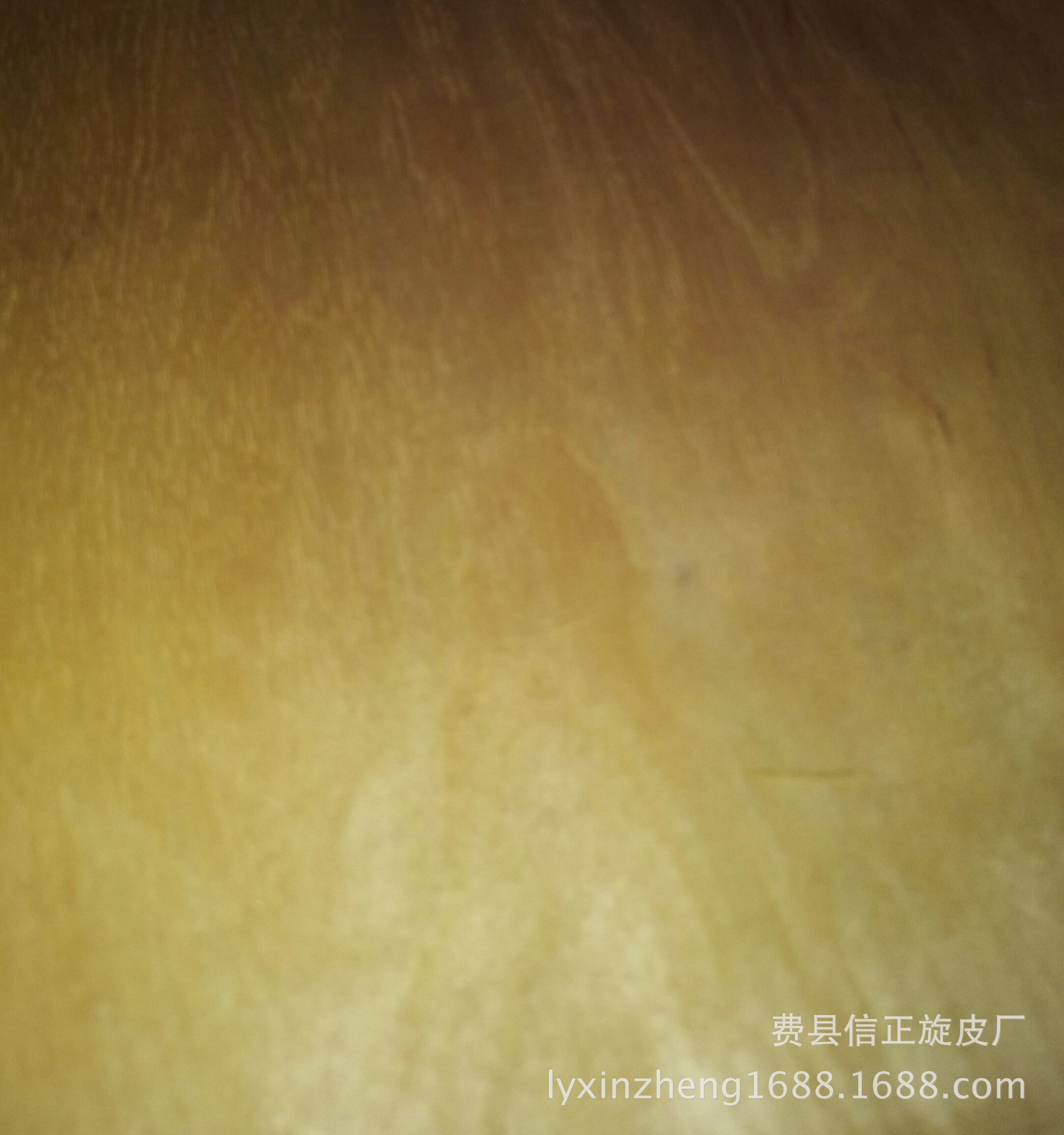 东北桦木旋切25丝木皮