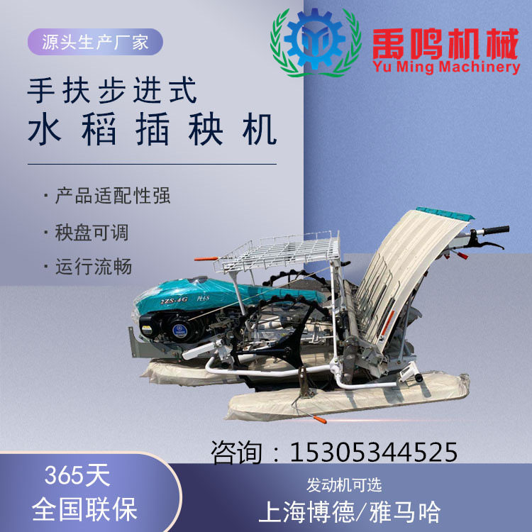 农用手扶步进式水稻插秧机 6行四行秧盘秧苗栽苗机 水稻种植机