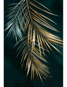 02画5新款68284装饰厂2家