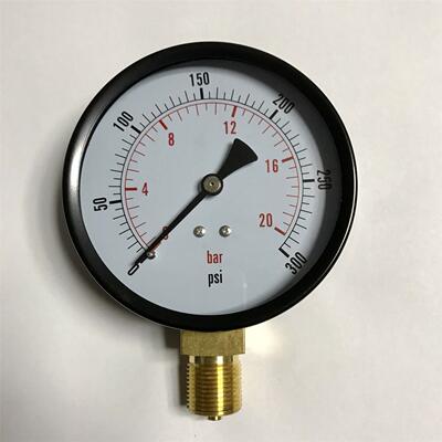 20bar 300psi 压力表 100mm Y-100 双刻度 压力指示 20bar=2mpa