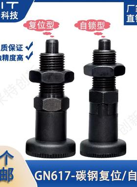 GN617冈特旋钮柱塞M10/12/16/20碳钢分度销行程柱塞MT305F/MT305Z