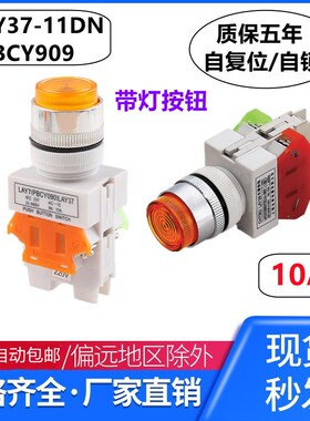 LAY37-11DN(PBCY090)带灯按钮开关自复位/自锁 开孔22mm 220V 24V