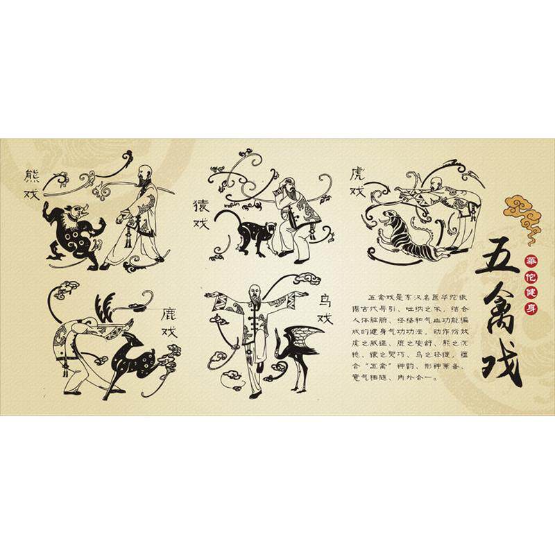 华佗健身五禽戏 中医养生 中华武术功夫传统文化装饰画04