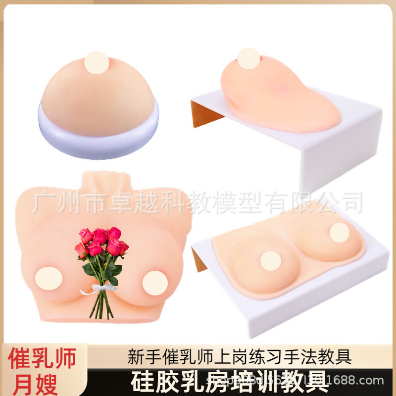 整体大乳房模型女性乳房护理家政培训育婴师催乳示范练习硅胶模型
