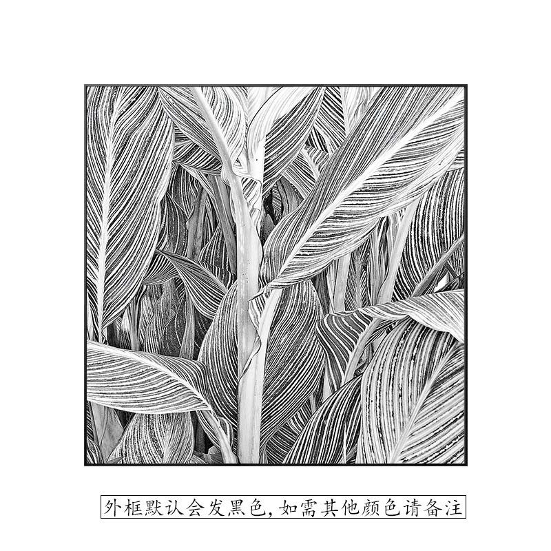 复古风美式挂画黑白植物现代客厅沙发背景墙装饰画高级感餐厅壁画