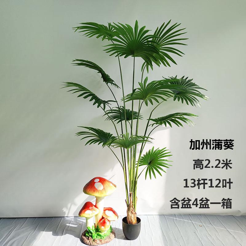 仿真蒲蒲葵 扇葵树北欧风假绿植圆叶加州 装饰摆件落地室内盆景