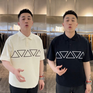 新款 短袖 现货夏季 简约百搭POLO衫 休闲翻领 男士 轻奢潮牌高级感时尚