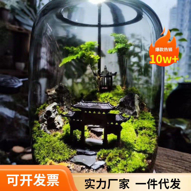 生命之树懒人养鱼苔藓微景观办公室盆栽宿舍植物桌面生态瓶真植物,鲜花速递/花卉仿真/绿植园艺,绿植,淘宝优惠券,粉丝福利购,淘宝优惠卷