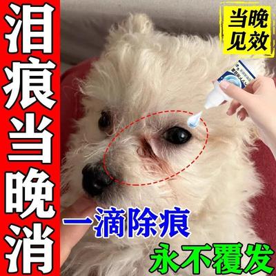 狗狗泪痕去除液宠物眼睛神器比熊泰迪博美洗去眼屎眼泪清洁滴眼液